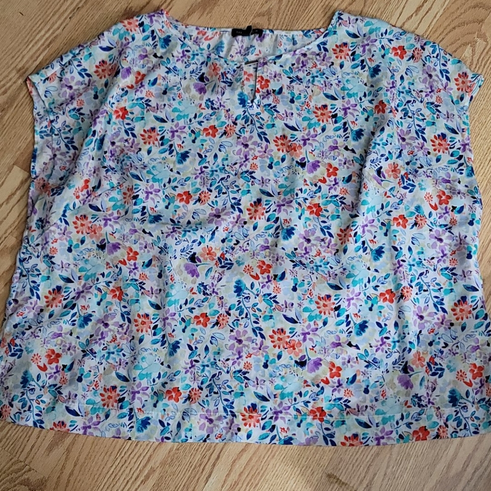 The Limited blouse 2x